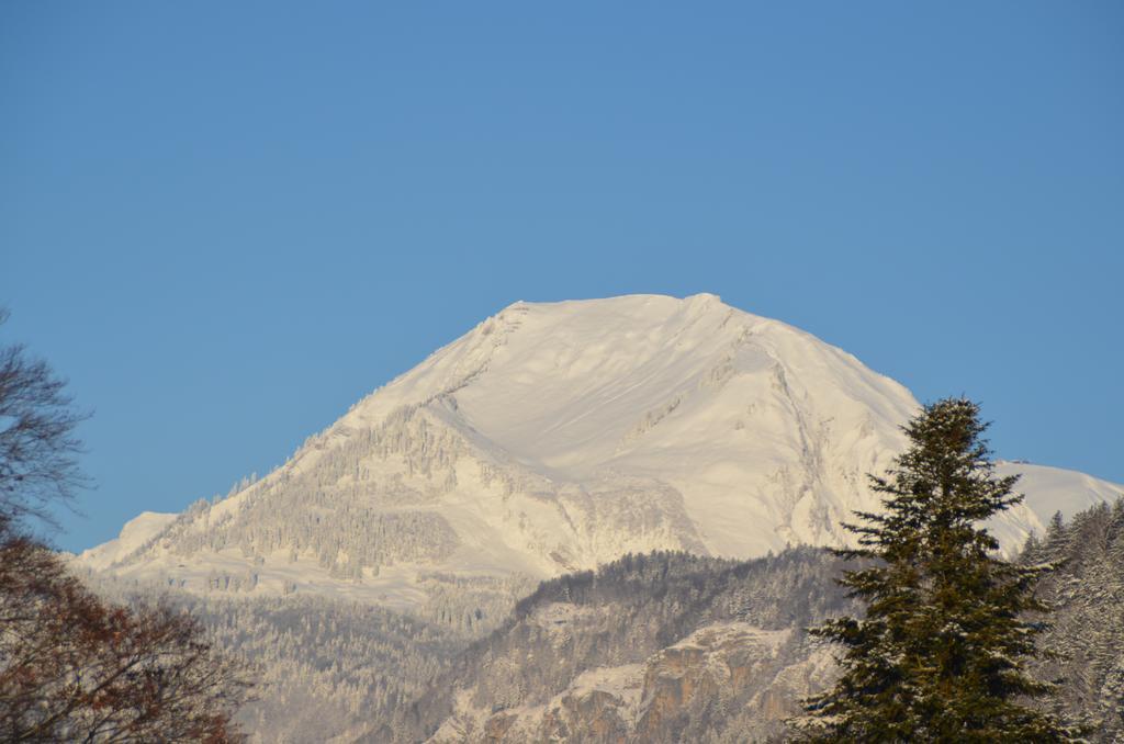 Mountain-Panorama Leilighet Meiringen Eksteriør bilde